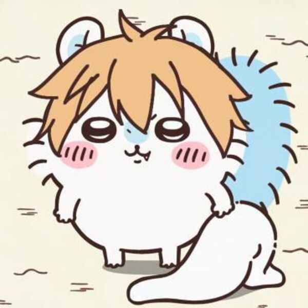 Imagen de Referencia